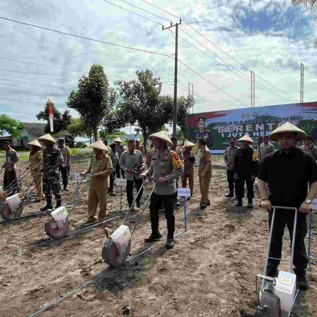 Sinergi Polri-Petani, Lombok Barat Jadi Lokomotif Swasembada Jagung 2025