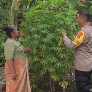 Ketahanan Pangan di Lombok Barat, Bhabinkamtibmas Jadi Penggerak Utama