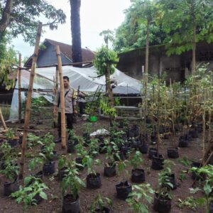 P2B di Desa Bengkel: Polisi Apresiasi Warga yang Rajin Berkebun