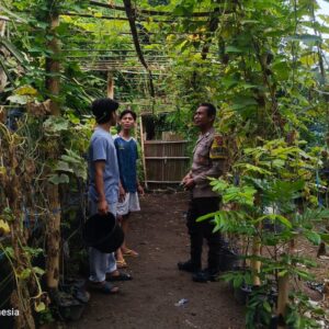 Pemuda Pesongoran Bergerak Wujudkan Kemandirian Pangan