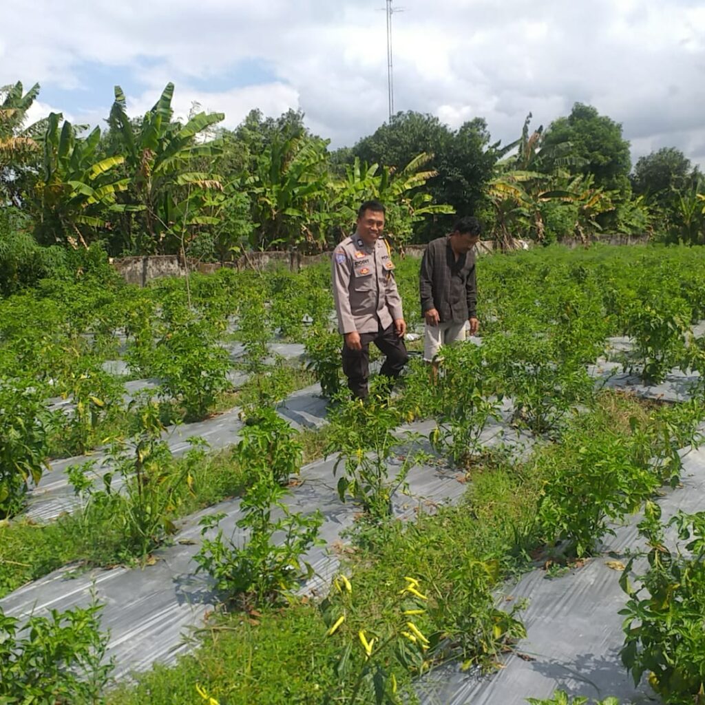 Polri Ajak Petani Dusun Tegal Manfaatkan Lahan Kosong untuk Swasembada Pangan