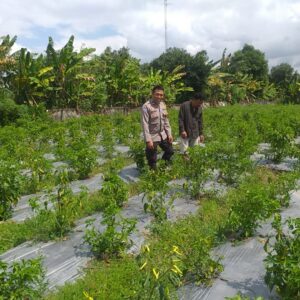 Polri Ajak Petani Dusun Tegal Manfaatkan Lahan Kosong untuk Swasembada Pangan