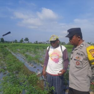 Polsek Kediri Libatkan Bhabinkamtibmas dalam Program Ketahanan Pangan di Desa Montong Are