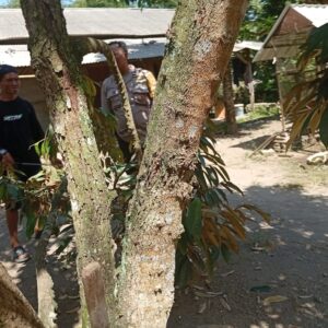 Sinergi Polisi dan Warga Dusun Begende Perkuat Swasembada Pangan
