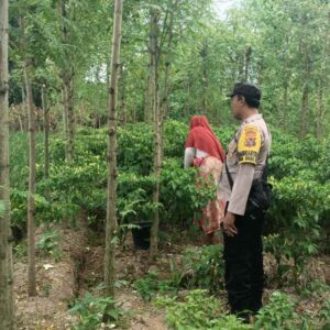 Sinergi Polri dan Petani di Ombe Baru, Perkuat Ketahanan Pangan Lokal
