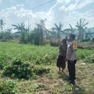 Panen Kacang di Taman Ayu: Momen Polisi Bangun Komunikasi Humanis dengan Warga