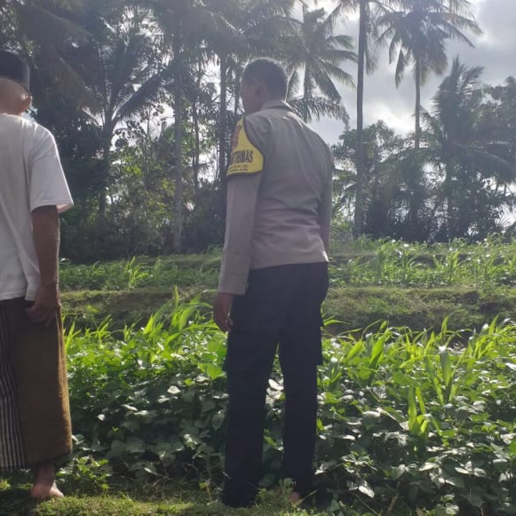 Ketahanan Pangan Dimulai dari Pekarangan Warga Lembar