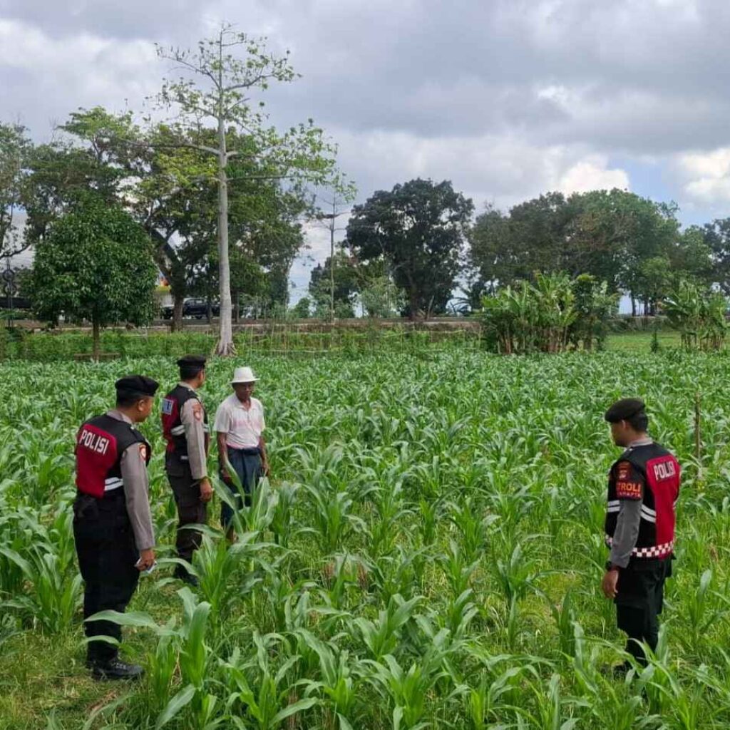 Polres Lombok Barat Dampingi Petani Gerung Utara, Dukung Swasembada Pangan