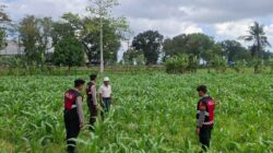 Polres Lombok Barat Dampingi Petani Gerung Utara, Dukung Swasembada Pangan