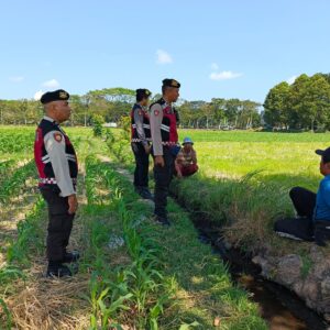 Samapta Polres Lobar Dukung Swasembada Pangan di Gerung