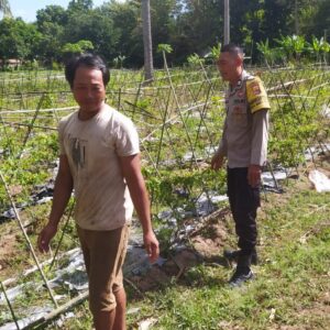 Sinergi Polri dan Petani Batu Putih Perkuat Ekonomi Lokal Sekotong