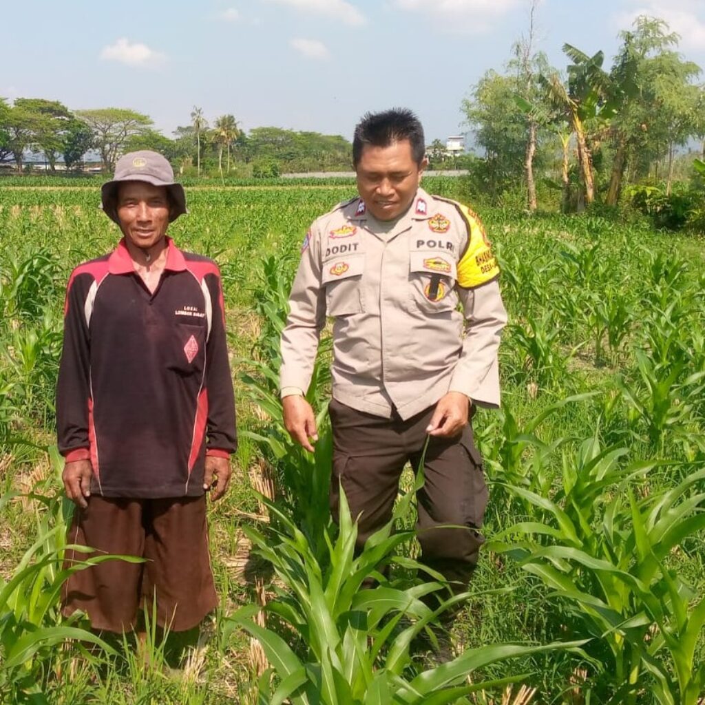 Sinergi Polisi dan Petani di Desa Jagaraga untuk Wujudkan Kemandirian Pangan